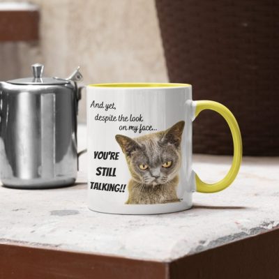And Yet, Despite The Look On My Face, You Are Still Talking Tee, Funny Gift Shirt